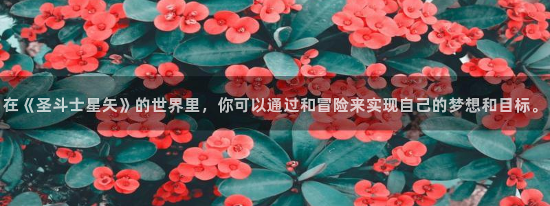 有哪些好看的里番动漫：在《圣斗士星矢》的世界里，你可以通过和冒险来实现自己的梦想和目标。