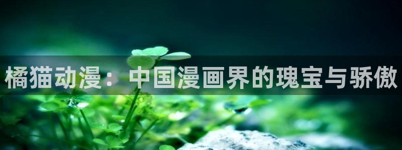 3d里番动漫在线网站：橘猫动漫：中国漫画界的瑰宝与骄傲
