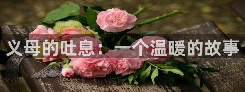 里番动漫第一页：义母的吐息：一个温暖的故事