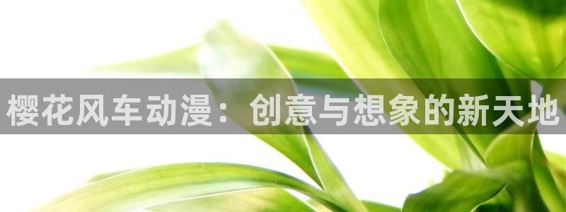 免费看里番动漫：樱花风车动漫：创意与想象的新天地