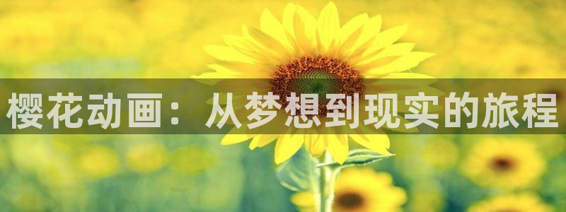 里番动漫观看：樱花动画：从梦想到现实的旅程