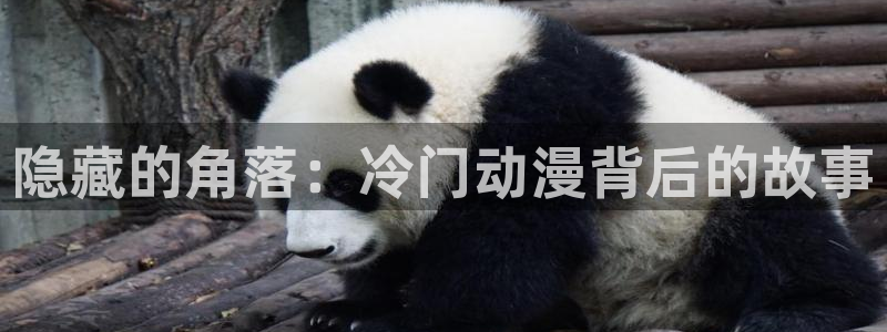 最新里番动漫在线：隐藏的角落：冷门动漫背后的故事